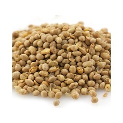 Roasted & Salted Soybeans 2/5lb