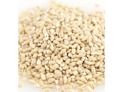 Organic Hulled Barley 25lb
