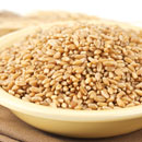 Prairie Gold (86) Kernel