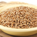 Bronze Chief Kernels
