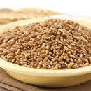 Hard Red Winter Wheat