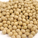 Edible Soybeans