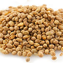 Soybeans (Roasted & Salted)