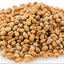 Honey Roasted Soybeans