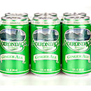 Adirondack Ginger Ale