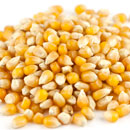 Yellow Popcorn