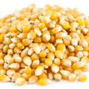 Tiny Kernel Popcorn