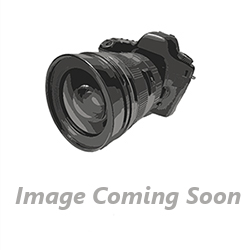 1728ct 86MM Wd Mth Gld Lid Blk