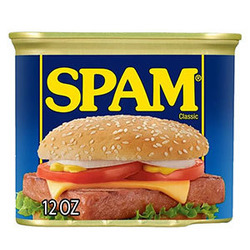 Hormel Classic Spam 24/12oz