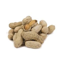 Roasted & Salted Jumbo Peanuts in the Shell 25lb