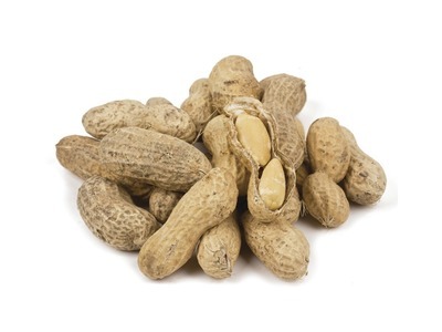 Roasted No Salt Jumbo Peanuts in the Shell 25lb