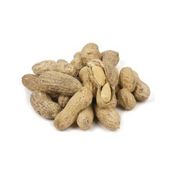 Roasted No Salt Jumbo Peanuts in the Shell 25lb