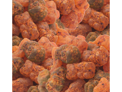 Chamoy Gummy Bears 4/5lb