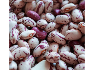 Cranberry Beans 50lb