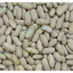 White Kidney Beans 20lb