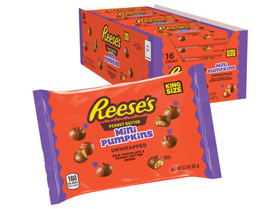 Reese's Milk Chocolate Peanut Butter Mini Pumpkins 16ct