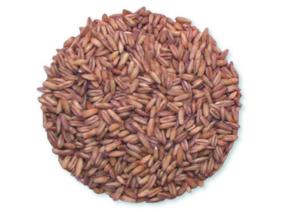 Whole Oat Groats 50lb