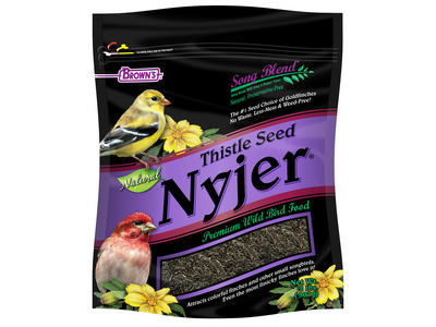 Song Bird Nyjer Thistle Seed 6/2lb