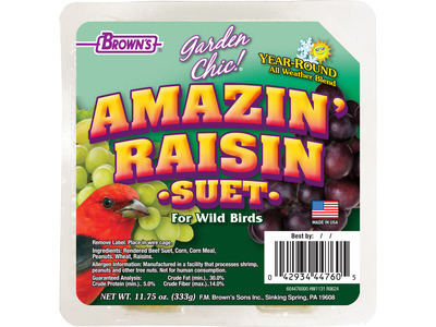Amazin' Raisin Suet 8/11.75oz