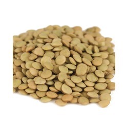 Lentils 20lb