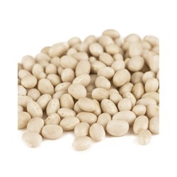Navy Beans 20lb