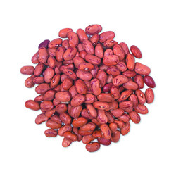 Cranberry Beans 50lb