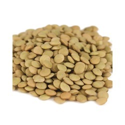 Lentils 50lb