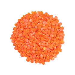 Hulled Red Lentils 50lb