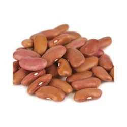 Light Red Kidney Beans 50lb