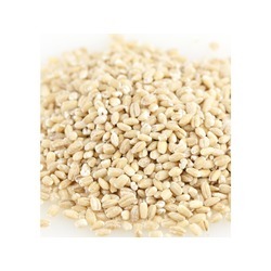 Organic Hulled Barley 25lb