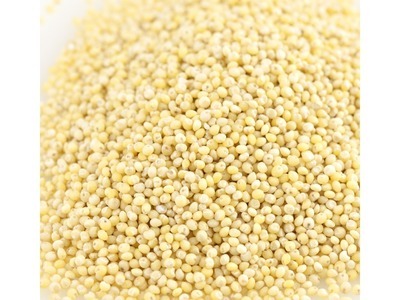 Organic Hulled Millet 25lb