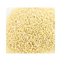 Organic Hulled Millet 25lb