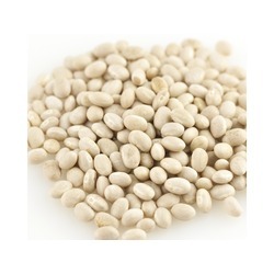 Organic Navy Beans 25lb