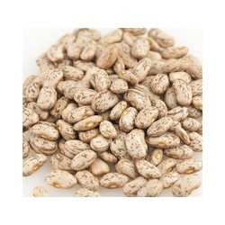 Organic Pinto Beans 25lb