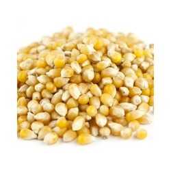 Tiny Kernel Popcorn 50lb