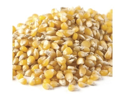 Ladyfinger Popcorn 50lb