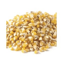 Ladyfinger Popcorn 50lb