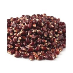 Red Popcorn 50lb