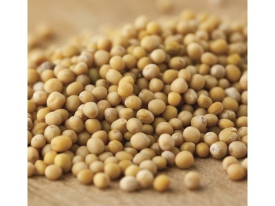 Mustard Seeds #1 5lb