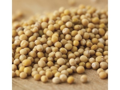 Mustard Seeds #1 5lb