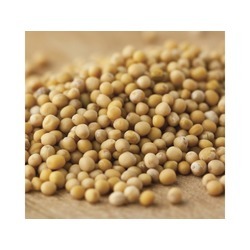 Mustard Seeds #1 25lb