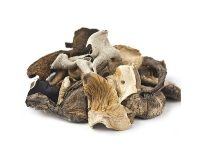 Forest Mushroom Blend 1lb