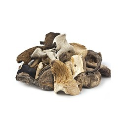 Forest Mushroom Blend 1lb