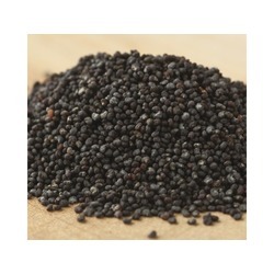 Poppy Seeds 5lb