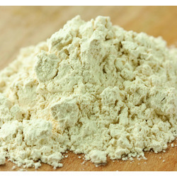 Garlic Powder 50lb