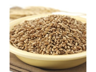 Hard Red Winter Wheat 50lb