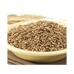 Hard Red Winter Wheat 50lb