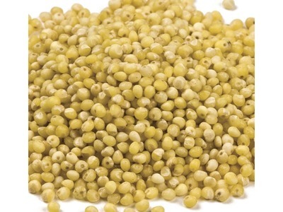 Food Grade Millet 25lb