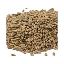 Rye Berries 25lb